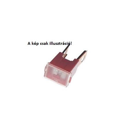 Biztositék  30amp Transit
