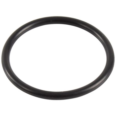 Vízpumpa Tömítőgyűrű Ford Transit 2000-2014  3.2 Diesel