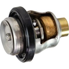 Termosztát Suzuki Marine DF40/50/60