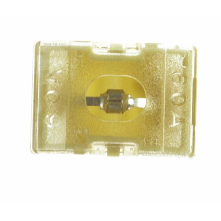 Biztositék   60amp   Ranger