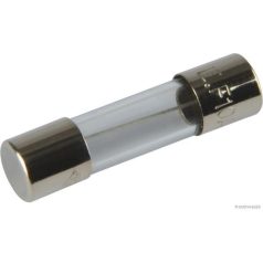 Biztosíték 10A 250V
