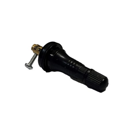 Tpms Gumiszelep